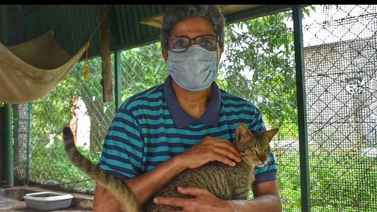 യുഎസ്സിൽ നിന്നും തിരികെയെത്തി, 65000 ത്തിലധികം മൃഗങ്ങൾക്ക് ആശ്വാസമായി സംരക്ഷണകേന്ദ്രം തുറന്ന് മിനി യുഎസ്സിൽ നിന്നും തിരികെയെത്തി, 65000 ത്തിലധികം മൃഗങ്ങൾക്ക് ആശ്വാസമായി സംരക്ഷണകേന്ദ്രം തുറന്ന് മിനി