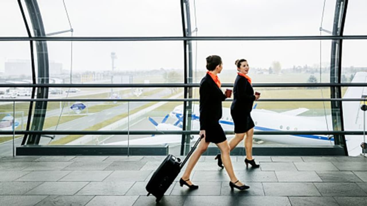 विदेश यात्रा का बना लें प्लान, दिसंबर के आखिर तक समान्य हो जाएंगी इंटरनेशनल फ्लाइट्स विदेश यात्रा का बना लें प्लान, दिसंबर के आखिर तक समान्य हो जाएंगी इंटरनेशनल फ्लाइट्स