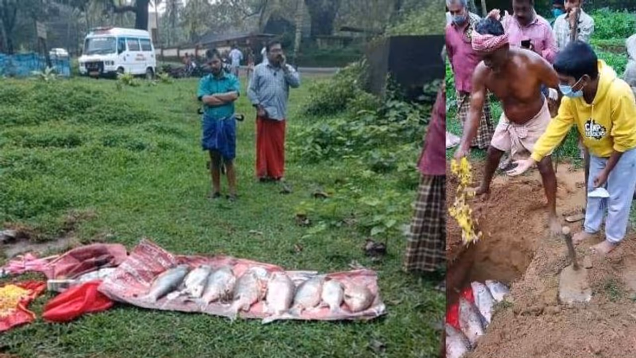 'തിരുമക്കളെ' പൂജാവിധി പ്രകാരം സംസ്കരിച്ചതെന്തിന്? കുളത്തൂപ്പുഴയിലുള്ളവർ പറയുന്നത് 'തിരുമക്കളെ' പൂജാവിധി പ്രകാരം സംസ്കരിച്ചതെന്തിന്? കുളത്തൂപ്പുഴയിലുള്ളവർ പറയുന്നത്