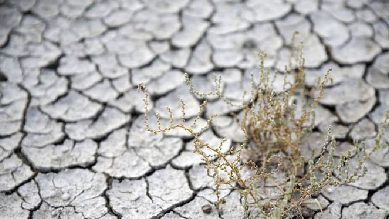 ഓക്സിജന്റെ അളവ് കുറയും, ഭൂമിയിൽ ജീവനുകളില്ലാതെയാവും? ഓക്സിജന്റെ അളവ് കുറയും, ഭൂമിയിൽ ജീവനുകളില്ലാതെയാവും?