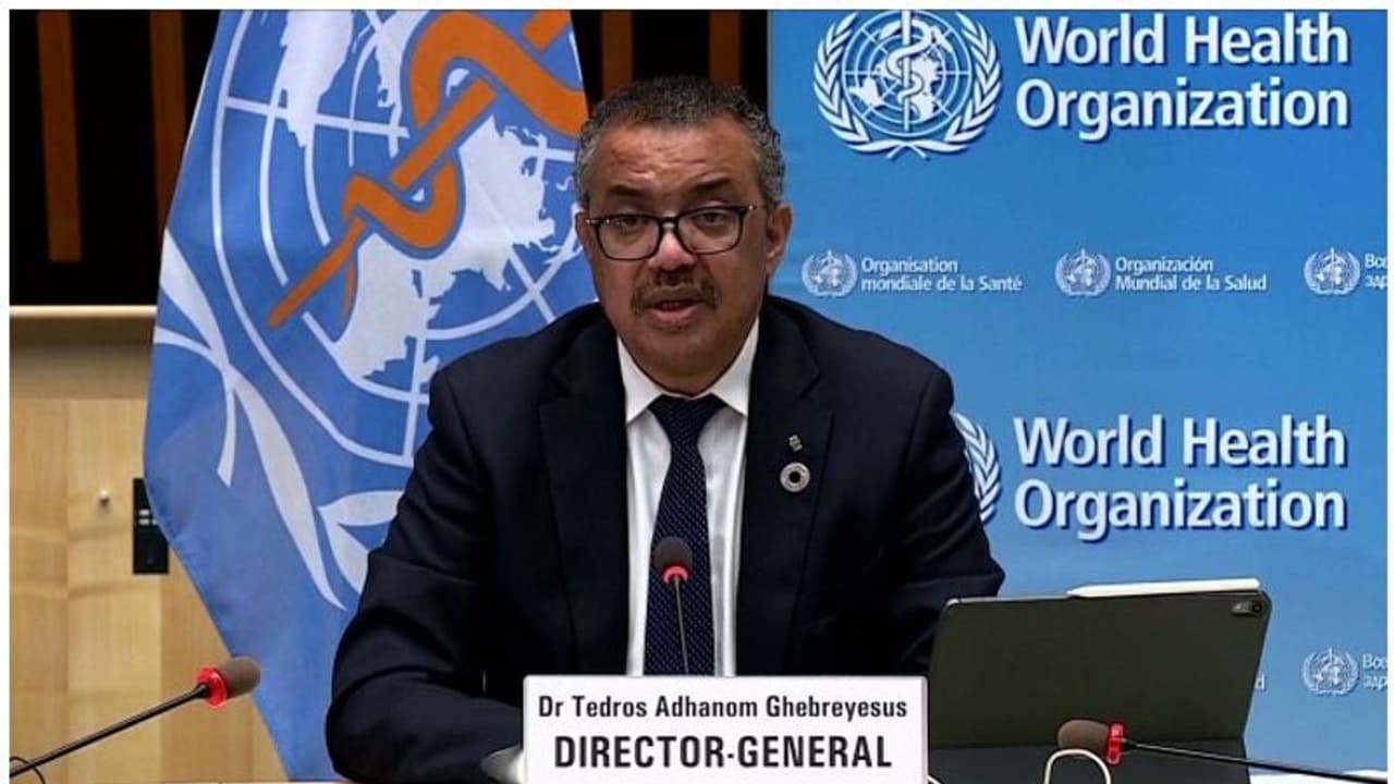 WHO announces team of experts who will 'probe novel diseases, prevent future pandemics'