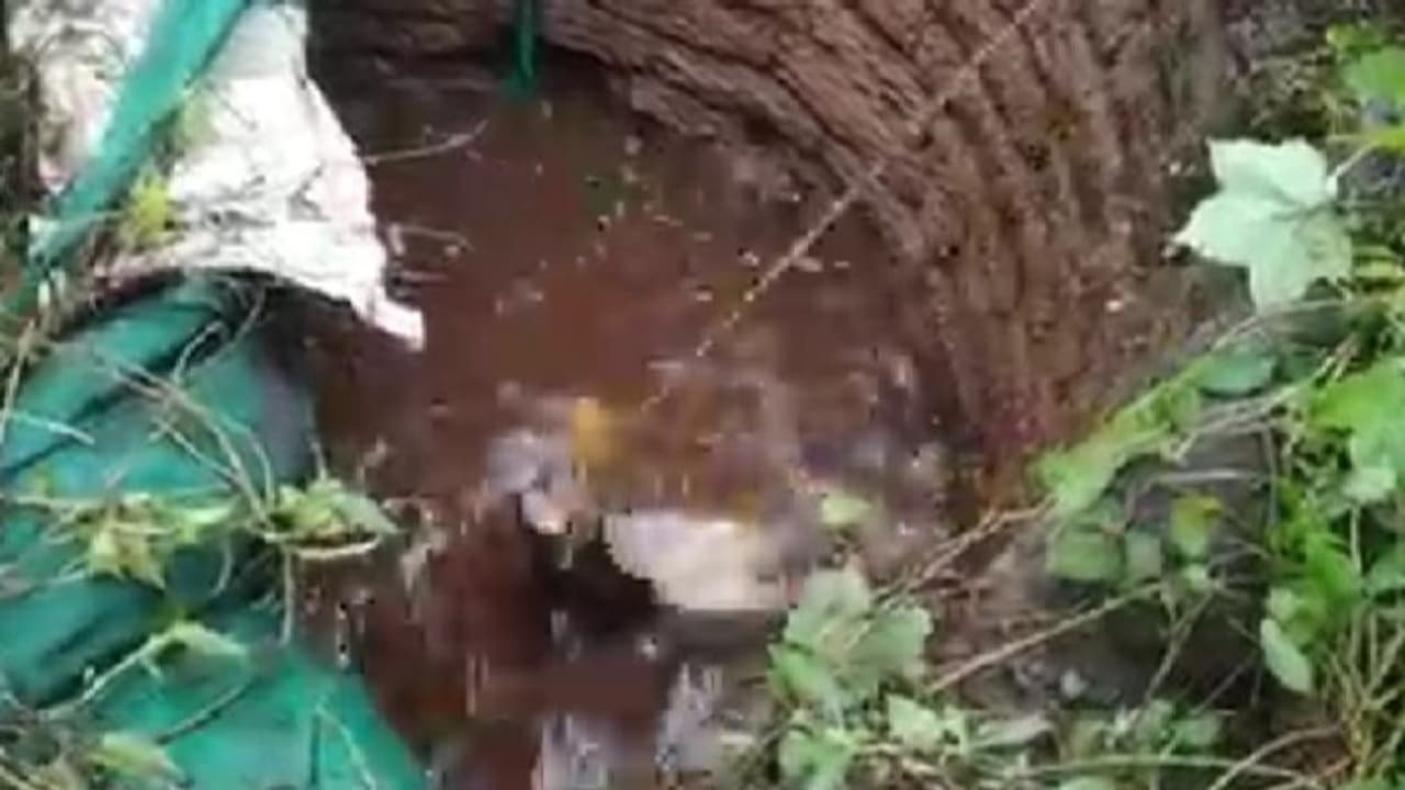 കിണറ്റിൽ ചാടിയ കാട്ടുപന്നിയെ വനപാലകരുടെ അനുമതിയോടെ വെടിവെച്ച് കൊന്നു