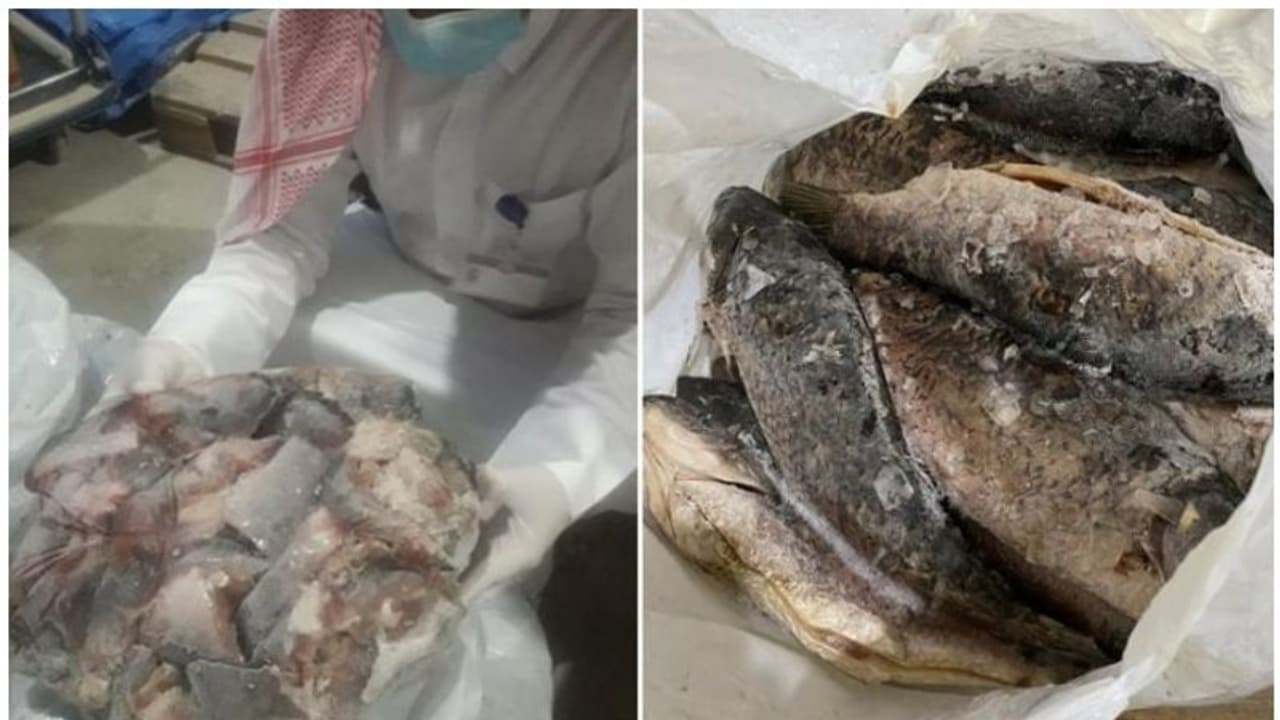 ഖത്തറില് പഴകിയ മത്സ്യങ്ങളുടെ വന് ശേഖരം പിടിച്ചെടുത്തു ഖത്തറില് പഴകിയ മത്സ്യങ്ങളുടെ വന് ശേഖരം പിടിച്ചെടുത്തു