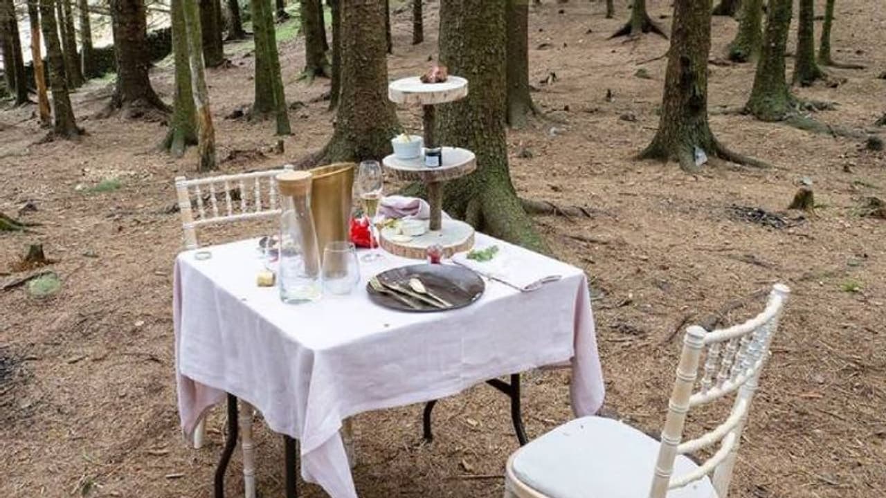 മരങ്ങൾക്കിടയിൽ മനോഹരമായി ഒരുക്കിയ മേശയും കസേരകളും, ഡ്രിങ്ക്സ്, ഭക്ഷണം, നിഗൂഢമായ രീതിയിലുപേക്ഷിച്ചതാര്? മരങ്ങൾക്കിടയിൽ മനോഹരമായി ഒരുക്കിയ മേശയും കസേരകളും, ഡ്രിങ്ക്സ്, ഭക്ഷണം, നിഗൂഢമായ രീതിയിലുപേക്ഷിച്ചതാര്?