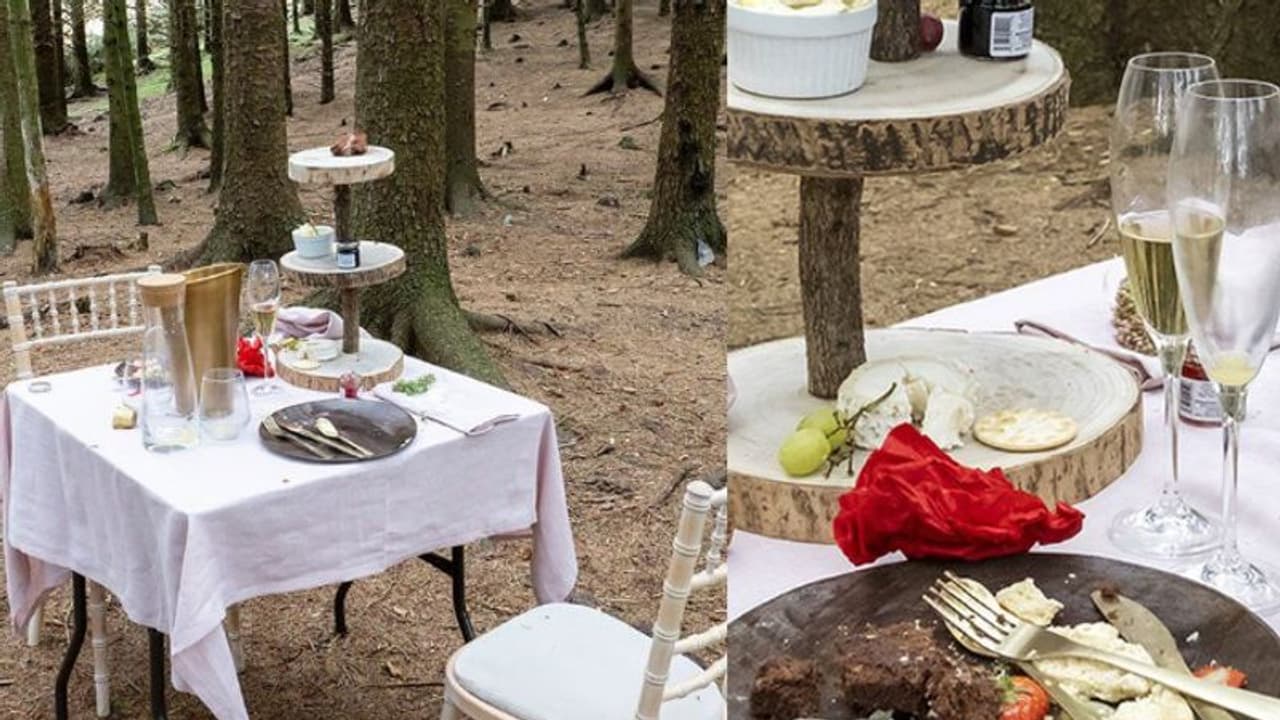 പൈന് മരങ്ങള്ക്കിടയില് ഉപേക്ഷിച്ച നിലയില് മേശയും കസേരയും ; അജ്ഞാത സഞ്ചാരികളെ തേടി അധികൃതര് പൈന് മരങ്ങള്ക്കിടയില് ഉപേക്ഷിച്ച നിലയില് മേശയും കസേരയും ; അജ്ഞാത സഞ്ചാരികളെ തേടി അധികൃതര്