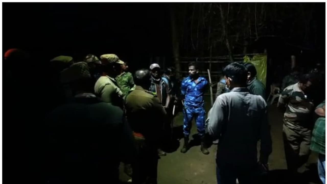 നീലഗിരിയിൽ നാലുപേരെ കൊന്ന നരഭോജി കടുവയെ പിടികൂടി നീലഗിരിയിൽ നാലുപേരെ കൊന്ന നരഭോജി കടുവയെ പിടികൂടി