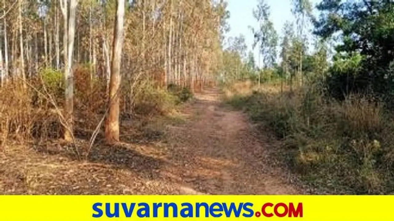 ‘ಸೇವ್‌ ಜಾರಕಬಂಡೆ’ ಹೆಸರಲ್ಲಿ ಅಭಿಯಾನ ಶುರು