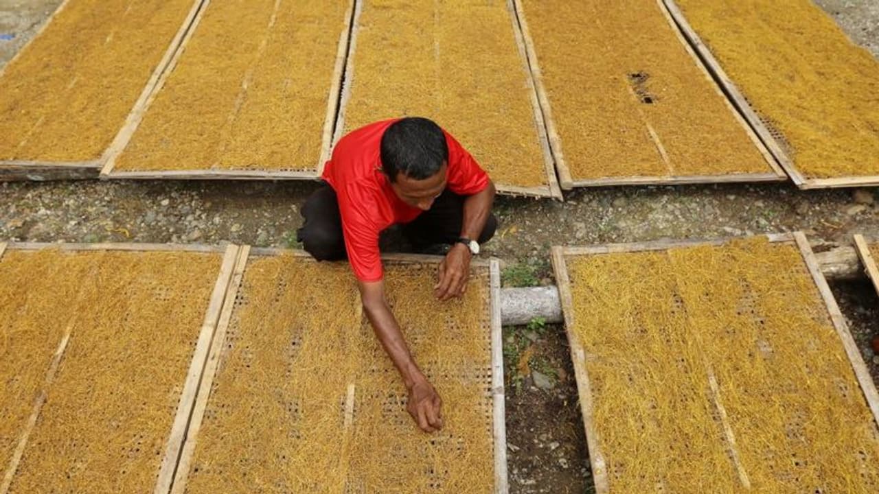 ರಾಜ್ಯಾದ್ಯಂತ ತಂಬಾಕು ಮಾರುಕಟ್ಟೆಗಳನ್ನು ತಾತ್ಕಾಲಿಕವಾಗಿ ಸ್ಥಗಿತಗೊಳಿಸಲು ತೀರ್ಮಾನ ರಾಜ್ಯಾದ್ಯಂತ ತಂಬಾಕು ಮಾರುಕಟ್ಟೆಗಳನ್ನು ತಾತ್ಕಾಲಿಕವಾಗಿ ಸ್ಥಗಿತಗೊಳಿಸಲು ತೀರ್ಮಾನ