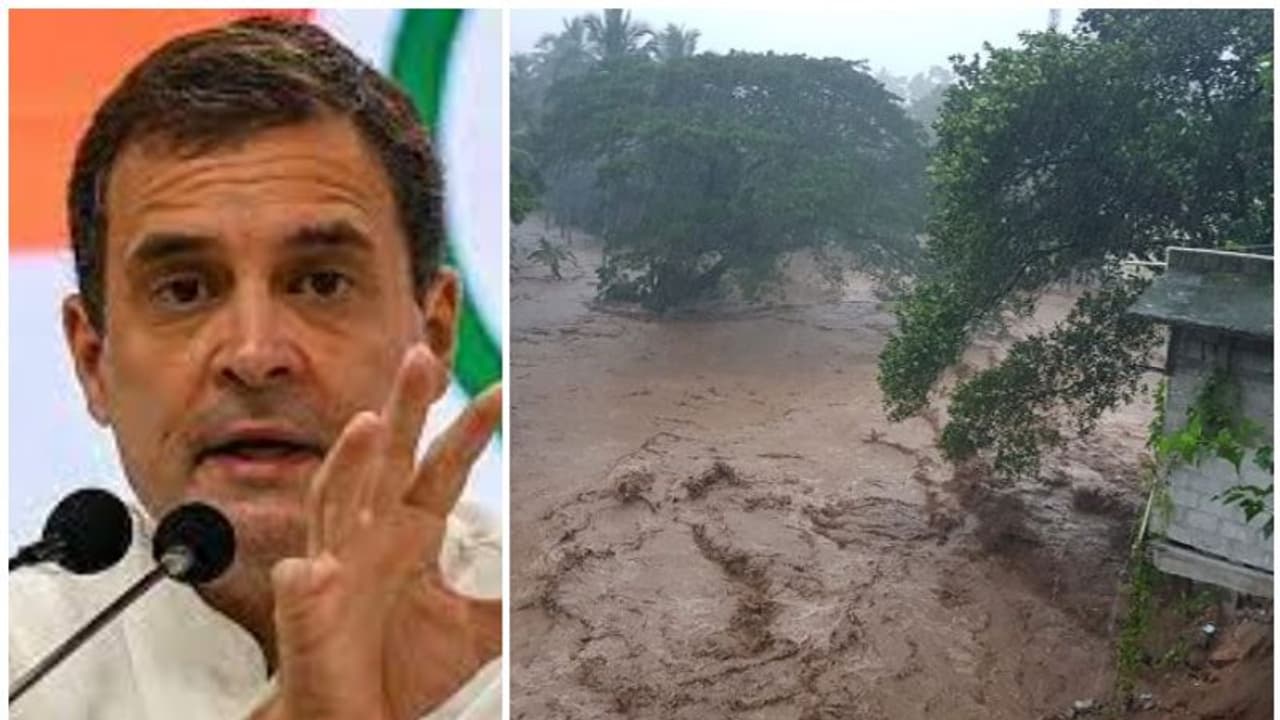 എന്റെ മനസ്സ് കേരള ജനതക്കൊപ്പം, സുരക്ഷിതരായിരിക്കൂ: രാഹുല് ഗാന്ധി എന്റെ മനസ്സ് കേരള ജനതക്കൊപ്പം, സുരക്ഷിതരായിരിക്കൂ: രാഹുല് ഗാന്ധി