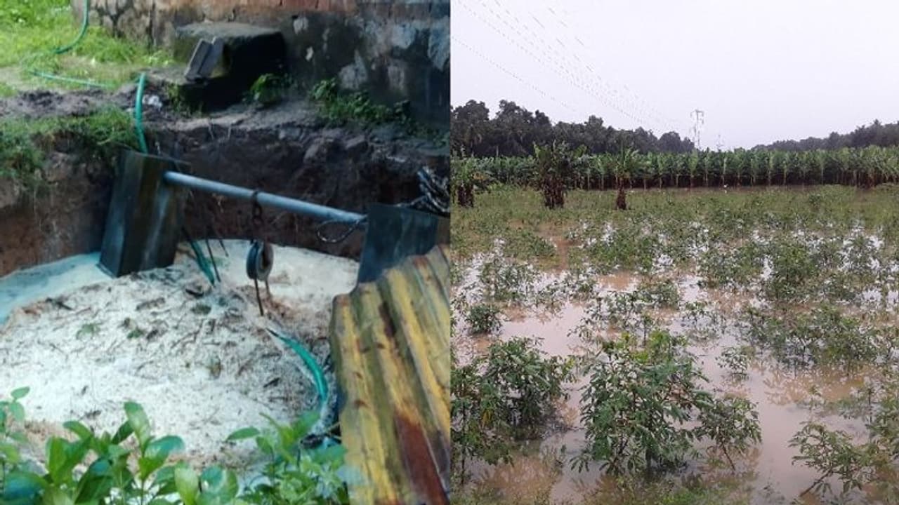 തിരുവനന്തപുരത്ത് കനത്ത മഴയിൽ തീരദേശത്തെ താഴ്ന്ന പ്രദേശങ്ങളും കൃഷി ഇടങ്ങളും വെള്ളത്തിനടിയിലായി തിരുവനന്തപുരത്ത് കനത്ത മഴയിൽ തീരദേശത്തെ താഴ്ന്ന പ്രദേശങ്ങളും കൃഷി ഇടങ്ങളും വെള്ളത്തിനടിയിലായി