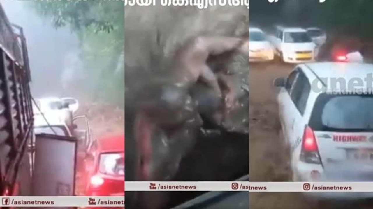 മരണത്തിലേക്ക് ഒഴുകിപ്പോയ ജീവനുകളെ കൈപിടിച്ച് കയറ്റി കെഎസ്ആര്‍ടിസി ജീവനക്കാര്‍; വീഡിയോ