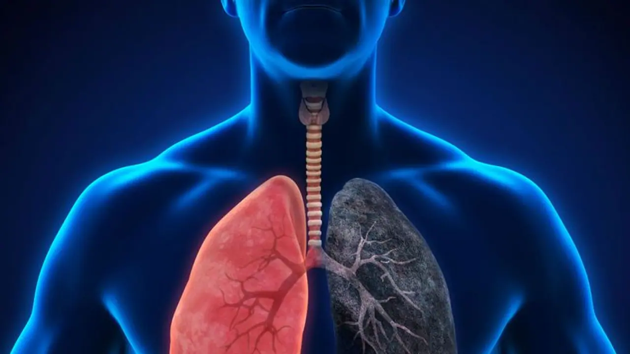 Symptoms of Lung Cancer : ശ്വാസകോശ ക്യാൻസർ; പ്രാരംഭ ലക്ഷണങ്ങൾ ശ്രദ്ധിക്കാതെ പോകരുത്