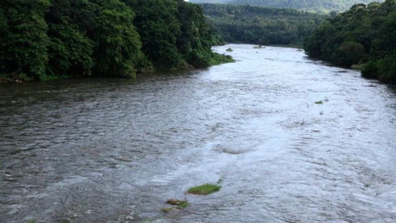 കക്കി ആനത്തോട് അണക്കെട്ടിൻ്റെ രണ്ട് ഷട്ടറുകൾ തുറന്നു: ഒരു മണിയോടെ പമ്പ ത്രിവേണിയിൽ ജലനിരപ്പുയരും