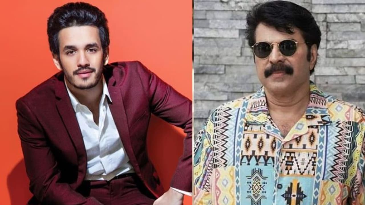 അഖിൽ അക്കിനേനിയുടെ ‘ഏജന്റ്’; ഷൂട്ടിംഗിനായി മമ്മൂട്ടി ഹംഗറിയിൽ അഖിൽ അക്കിനേനിയുടെ ‘ഏജന്റ്’; ഷൂട്ടിംഗിനായി മമ്മൂട്ടി ഹംഗറിയിൽ