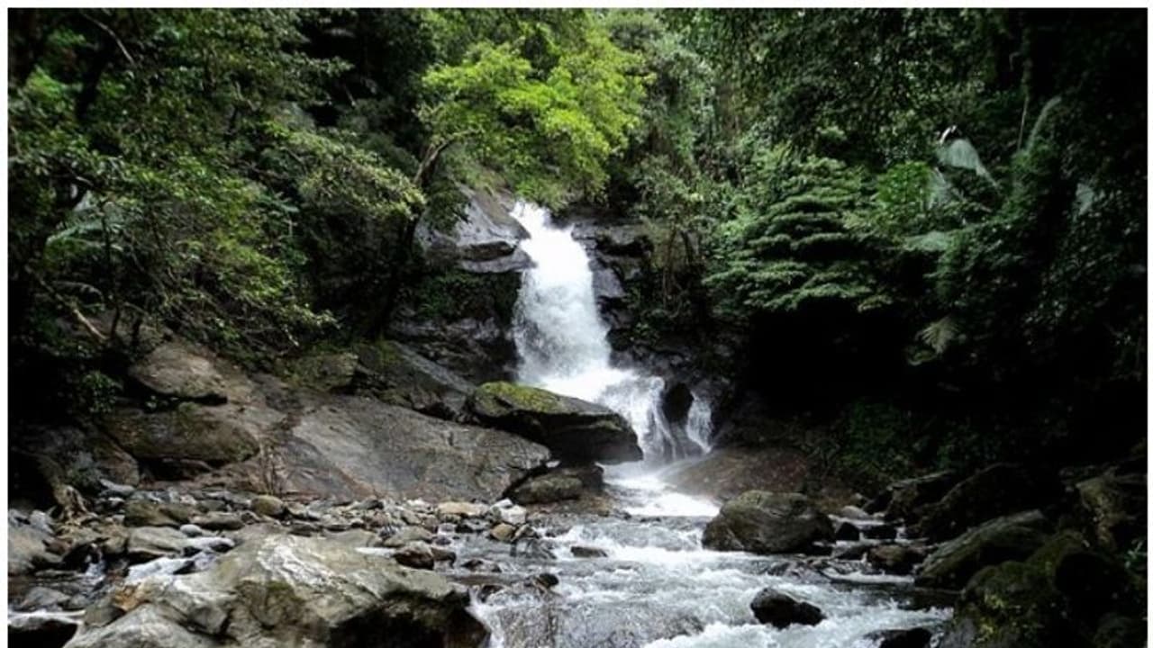 Kerala Rains | മഴ മുന്നറിയിപ്പ്: പാലക്കാട്ടെ ടൂറിസം കേന്ദ്രങ്ങളിലേക്കുള്ള പ്രവേശനം നിർത്തിവച്ചു Kerala Rains | മഴ മുന്നറിയിപ്പ്: പാലക്കാട്ടെ ടൂറിസം കേന്ദ്രങ്ങളിലേക്കുള്ള പ്രവേശനം നിർത്തിവച്ചു