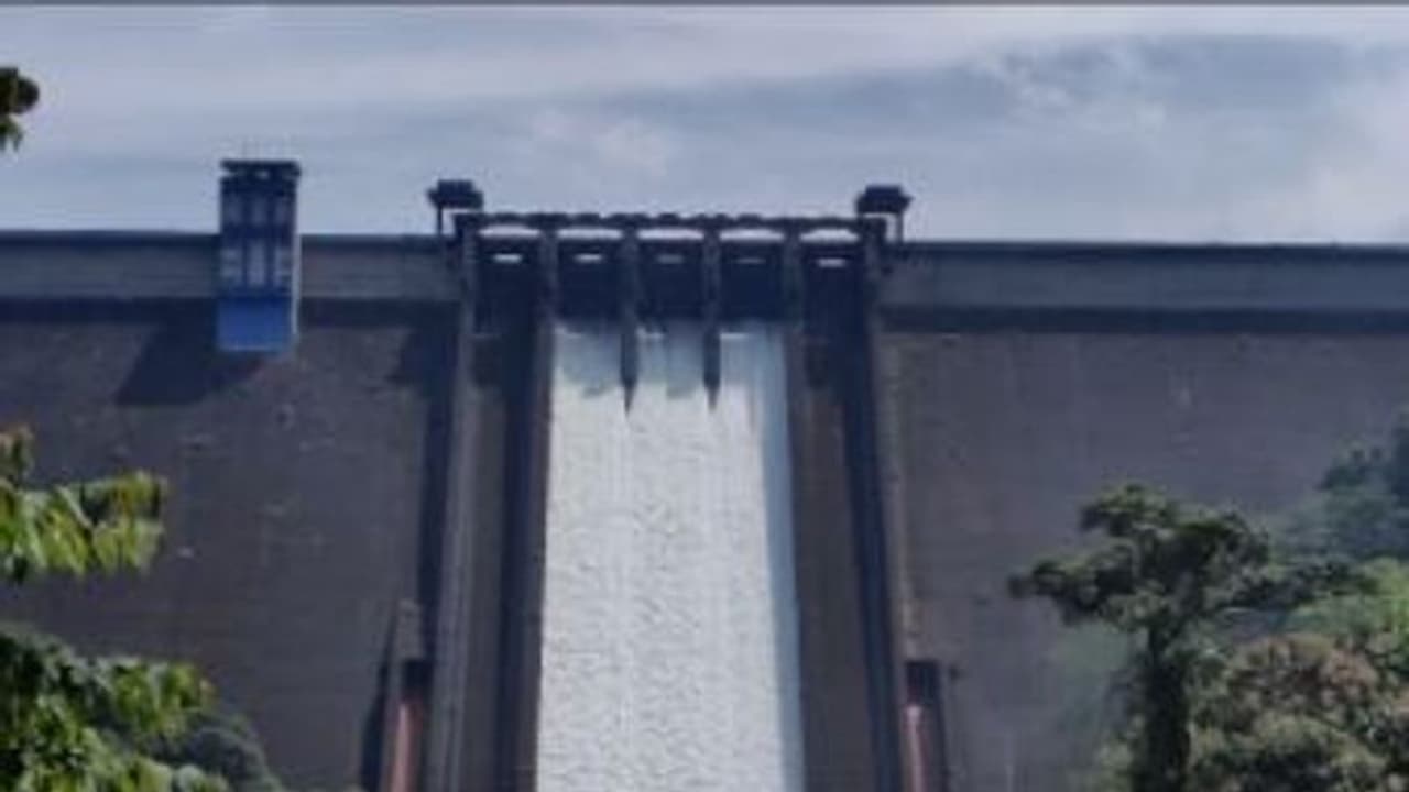 Dam Issue : ഇടുക്കിയിൽ നിന്ന് തുറന്നുവിടുന്ന വെള്ളത്തിന്റെ അളവ് കൂട്ടി, മുല്ലപ്പെരിയാറിൽ ജലനിരപ്പ് 141.90 അടി Dam Issue : ഇടുക്കിയിൽ നിന്ന് തുറന്നുവിടുന്ന വെള്ളത്തിന്റെ അളവ് കൂട്ടി, മുല്ലപ്പെരിയാറിൽ ജലനിരപ്പ് 141.90 അടി