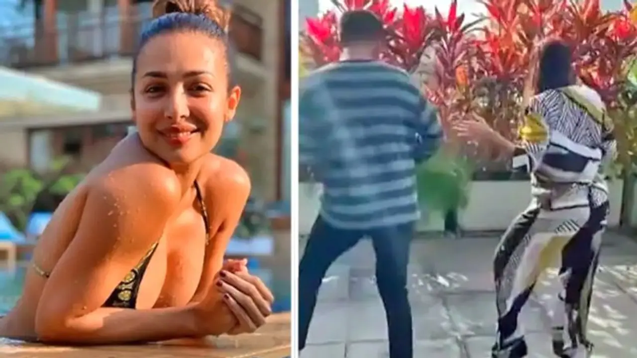 घर की छत पर ये किसके साथ कमर मटकाती दिखीं मलाइका अरोड़ा, अर्जुन कपूर नहीं तो फिर कौन है ये शख्स घर की छत पर ये किसके साथ कमर मटकाती दिखीं मलाइका अरोड़ा, अर्जुन कपूर नहीं तो फिर कौन है ये शख्स