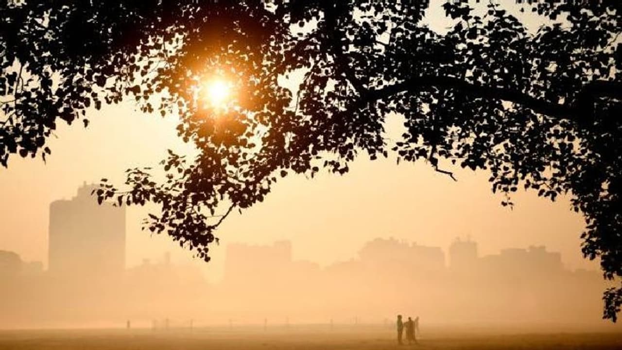 Weather forecast কলকাতায় শীতের আমেজ, বইতে শুরু করেছে উত্তুরে হাওয়া