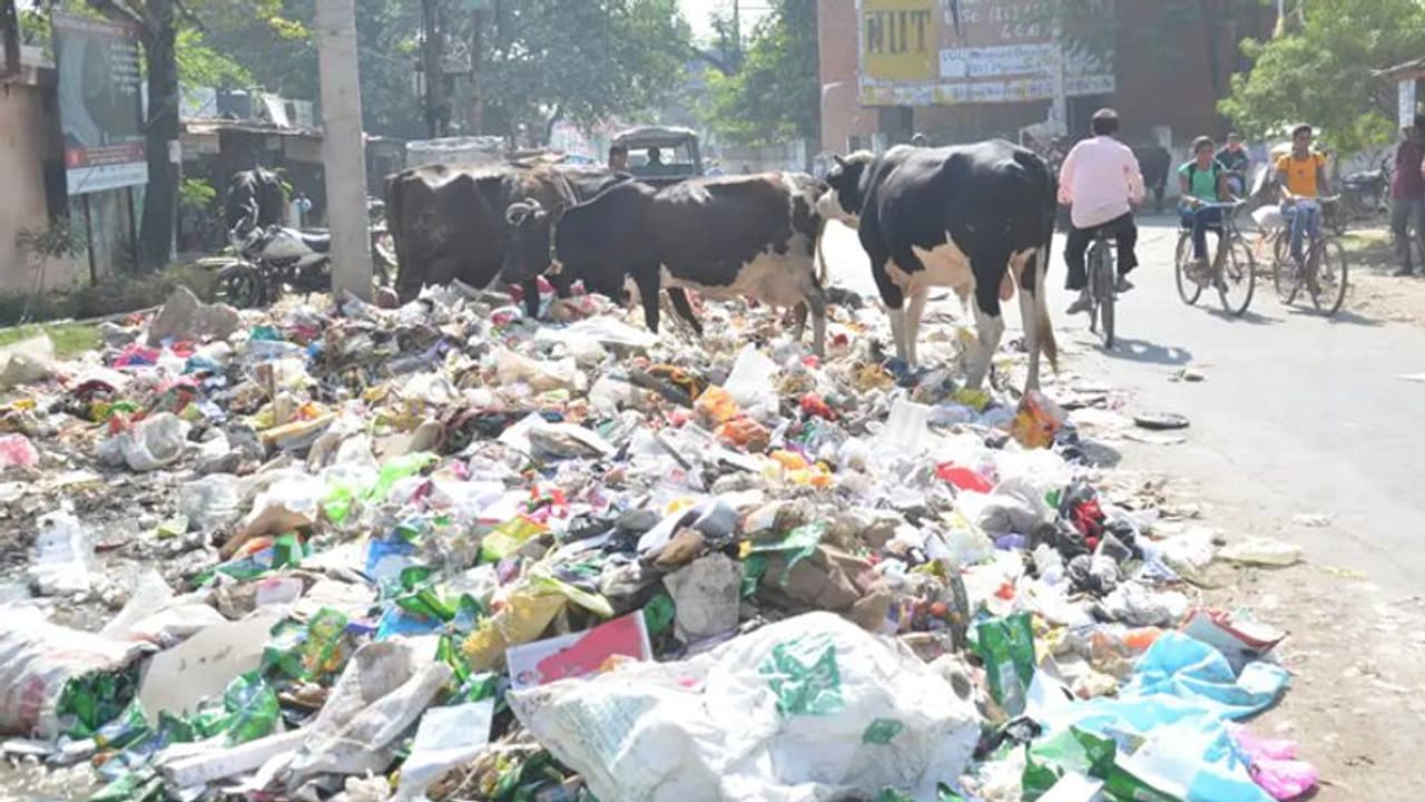 ದೇಶದ ಮೊದಲ ಘನತ್ಯಾಜ್ಯ ಕಂಪನಿ ಆರಂಭ ದೇಶದ ಮೊದಲ ಘನತ್ಯಾಜ್ಯ ಕಂಪನಿ ಆರಂಭ