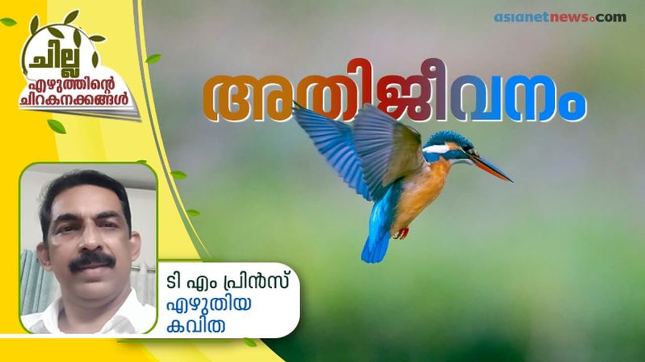 അതിജീവനം, ടി എം പ്രിന്സ് എഴുതിയ കവിത അതിജീവനം, ടി എം പ്രിന്സ് എഴുതിയ കവിത