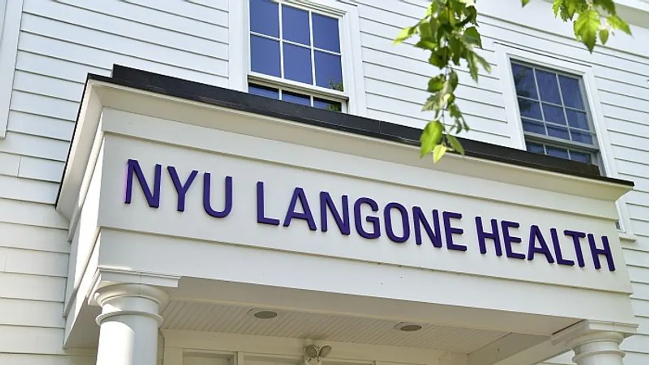 Big breakthrough! US surgeons successfully attach pig kidney to a human