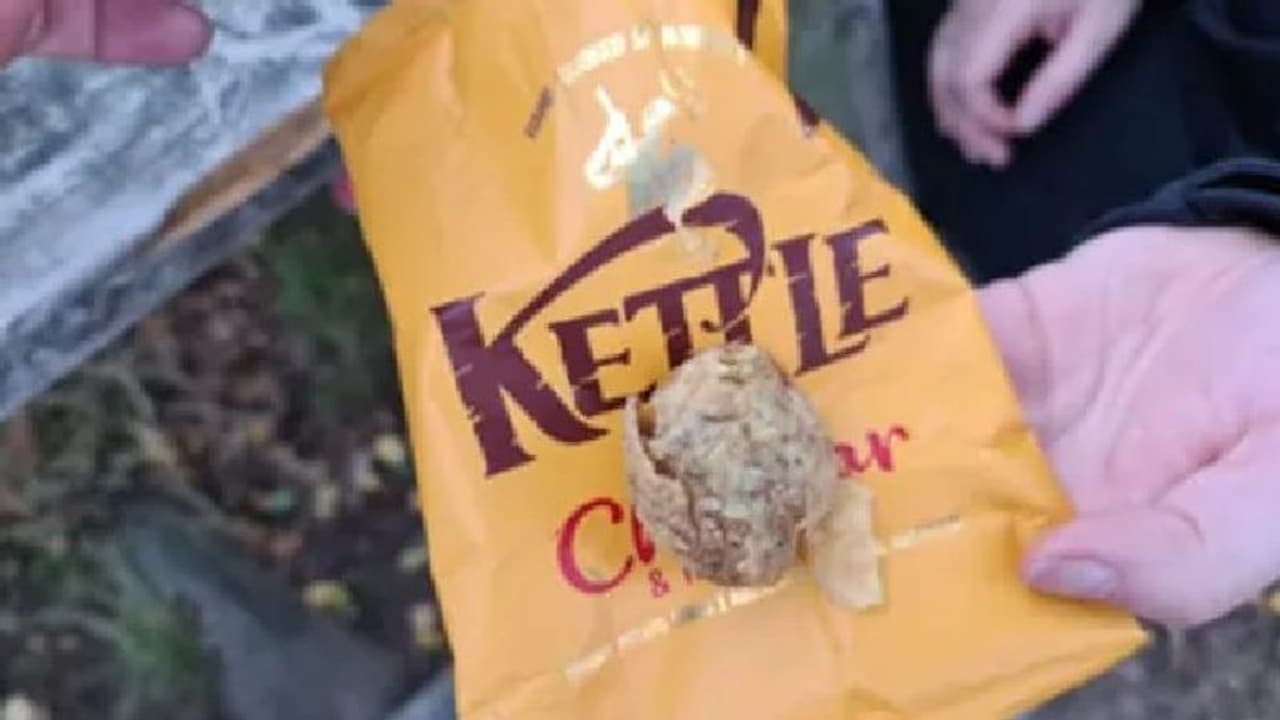 ഉരുളക്കിഴങ്ങ് ചിപ്‌സ് വാങ്ങിച്ച് പാക്കറ്റ് തുറന്നപ്പോള്‍ കണ്ടത്...