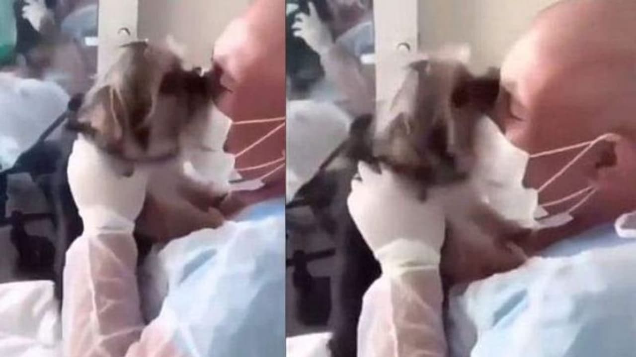 40 ദിവസത്തെ ക്യാന്‍സര്‍ ചികിത്സയ്ക്ക് ശേഷമുള്ള കൂടിക്കാഴ്ച; ഉമ്മകൊണ്ട് മൂടി വളര്‍ത്തുനായ; വീഡിയോ വൈറല്‍