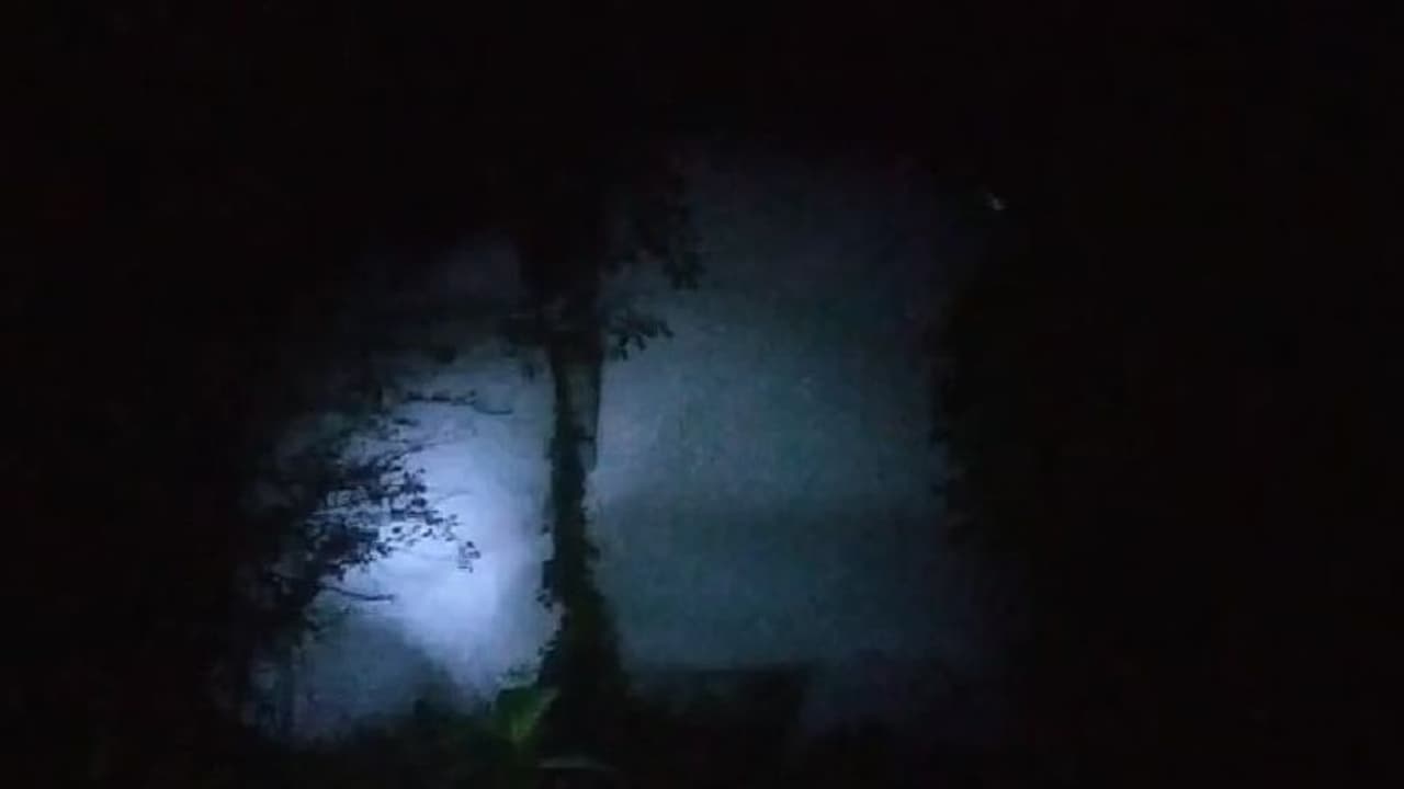 ঘন অন্ধকার ফুঁড়ে বেরোচ্ছে সাদা ধোঁয়া, বর্ধমান জুড়ে ছড়াল আতঙ্ক ঘন অন্ধকার ফুঁড়ে বেরোচ্ছে সাদা ধোঁয়া, বর্ধমান জুড়ে ছড়াল আতঙ্ক