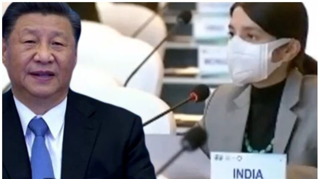 പ്രസംഗിച്ചു കൊണ്ടിരിക്കെ മൈക്ക് കട്ട് ചെയ്തിട്ടും യുഎന്നിൽ ചൈനക്കെതിരെ കത്തിക്കയറിയ തീപ്പൊരി ഐഎഫ്എസ് ഓഫീസർ