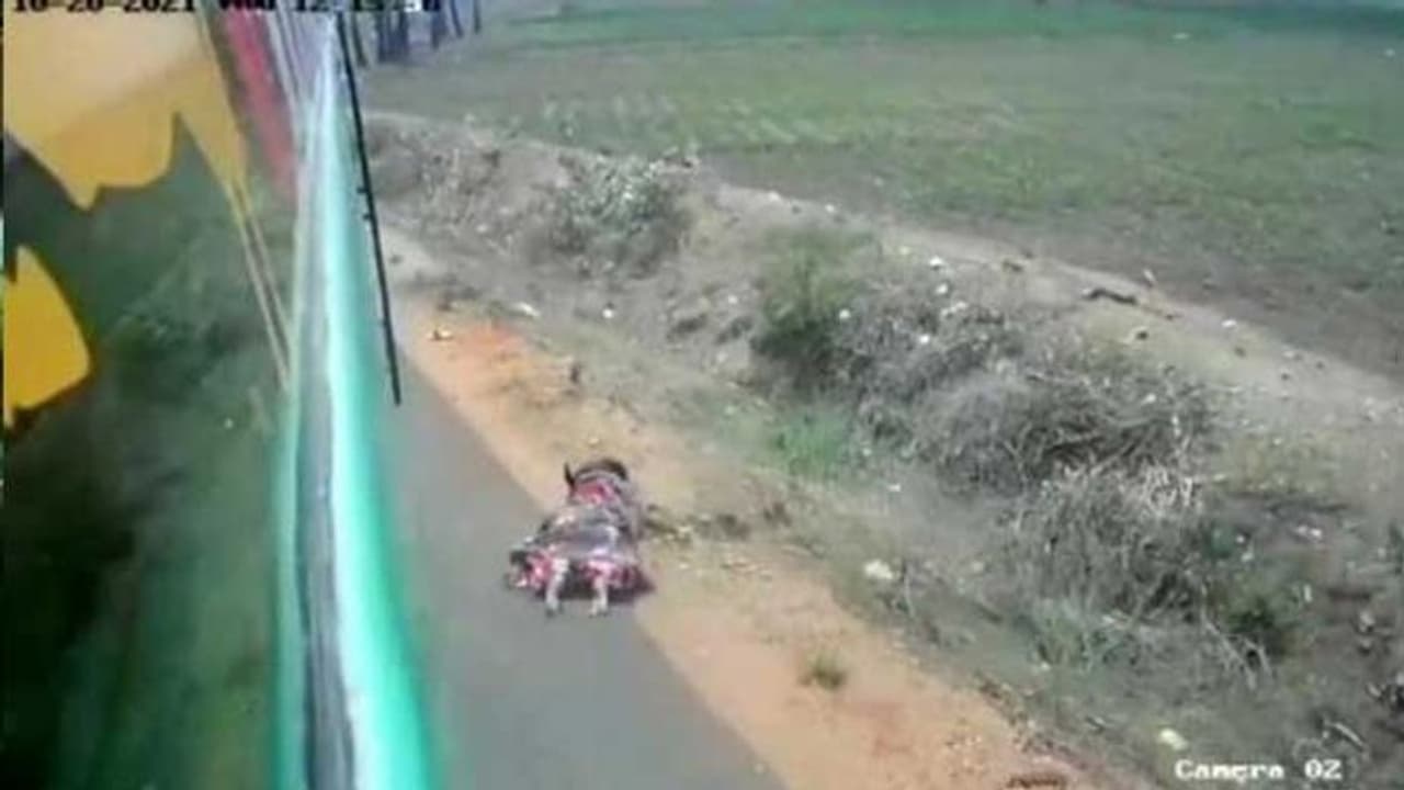 திருமண வீடு சாவு வீடாக மாறிய சோகம்.. மினி பேருந்தில் இருந்து தவறி விழுந்த பெண் உயிரிழப்பு.! திருமண வீடு சாவு வீடாக மாறிய சோகம்.. மினி பேருந்தில் இருந்து தவறி விழுந்த பெண் உயிரிழப்பு.!