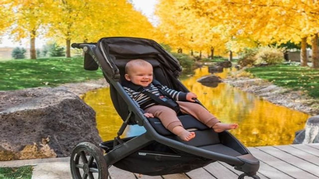 పిల్లోడి వయసు ఏడాది.. నెలకు రూ. 75 వేల ఆదాయం.. అతడు ఏం చేస్తున్నాడంటే..