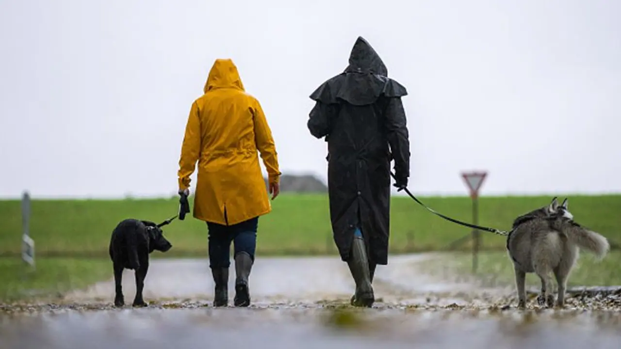 Astrology: ಸಾಕುಪ್ರಾಣಿಗಳೆಂದ್ರೆ ಈ ರಾಶಿಯವ್ರಿಗೆ ಭಾರೀ ಇಷ್ಟ! 