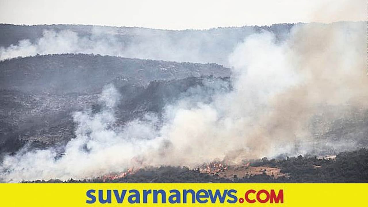 280 ಗ್ರಾಮಗಳಿಗೆ ಕಾಡ್ಗಿಚ್ಚು : 24 ಜನರಿಗೆ ಗಲ್ಲು ! 280 ಗ್ರಾಮಗಳಿಗೆ ಕಾಡ್ಗಿಚ್ಚು : 24 ಜನರಿಗೆ ಗಲ್ಲು !