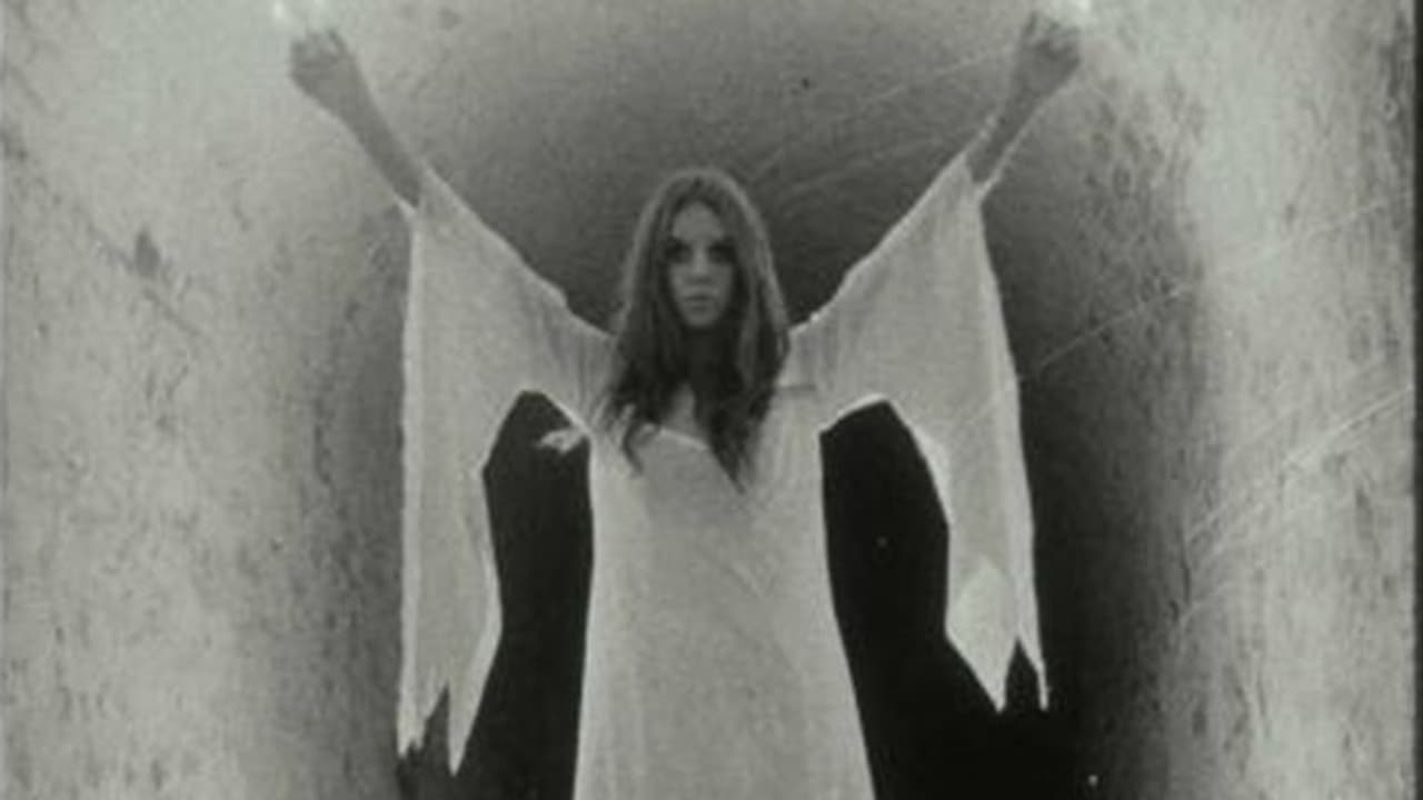 यूपी से सीकर आए बाबा ने बताया, यहां आत्माएं हैं खत्म हो जाएगा परिवार, फिर जो हुआ वो देख बोले ये चमत्कार था यूपी से सीकर आए बाबा ने बताया, यहां आत्माएं हैं खत्म हो जाएगा परिवार, फिर जो हुआ वो देख बोले ये चमत्कार था