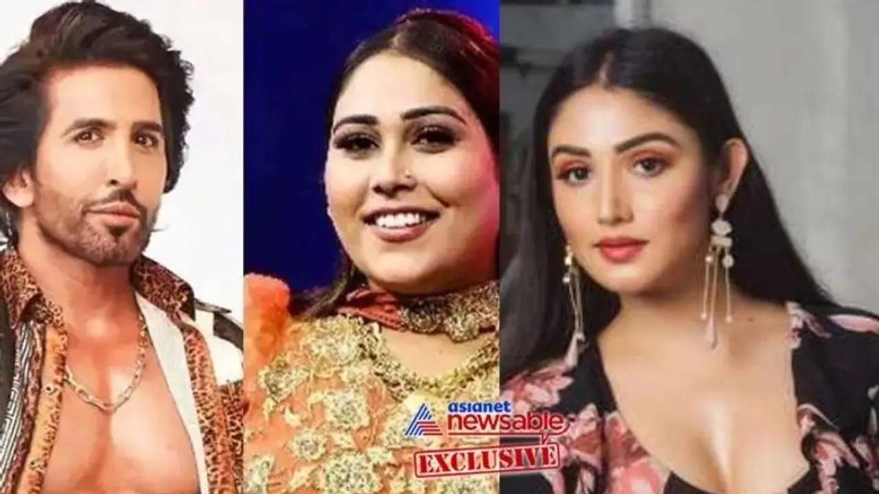 Bigg Boss 15: Donal on Afsana Vishal fight: Usko pata tha Afsana ko anxiety hai, phir bhi mental torture