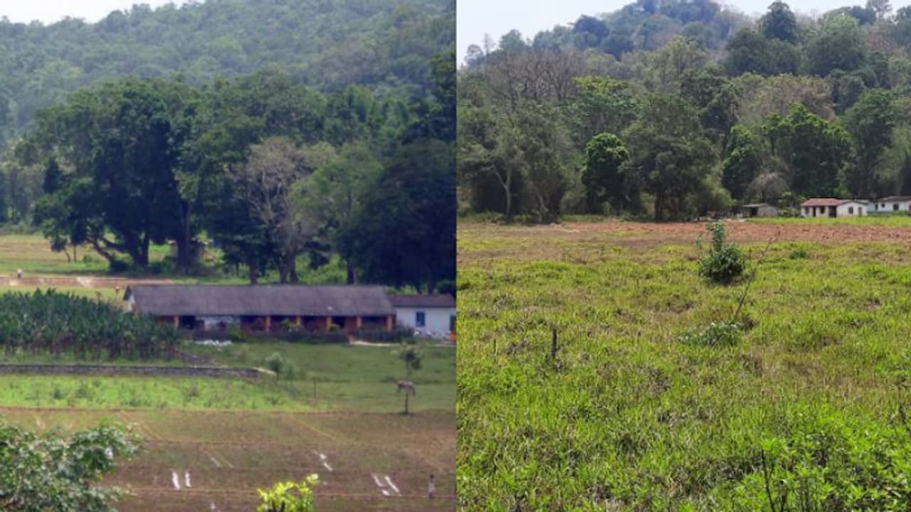 വര്ഷങ്ങള് പിന്നിട്ടിട്ടും ചെട്ട്യാലത്തുകാര്ക്ക് കാടിറങ്ങാനായില്ല; പുനരധിവാസം നീളുന്നത് അനാസ്ഥ മൂലം വര്ഷങ്ങള് പിന്നിട്ടിട്ടും ചെട്ട്യാലത്തുകാര്ക്ക് കാടിറങ്ങാനായില്ല; പുനരധിവാസം നീളുന്നത് അനാസ്ഥ മൂലം