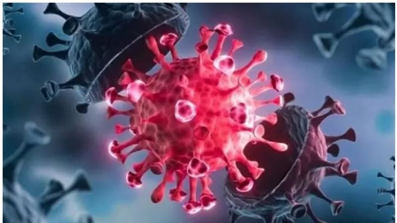 ರಾಜ್ಯ ರಾಜಧಾನಿಯಲ್ಲಿ ಮೂವರಿಗೆ AY 4.2 ವೈರಸ್, ಸೋಂಕಿತರ ಪತ್ತೆ ಕಾರ್ಯ ಆರಂಭ! ರಾಜ್ಯ ರಾಜಧಾನಿಯಲ್ಲಿ ಮೂವರಿಗೆ AY 4.2 ವೈರಸ್, ಸೋಂಕಿತರ ಪತ್ತೆ ಕಾರ್ಯ ಆರಂಭ!