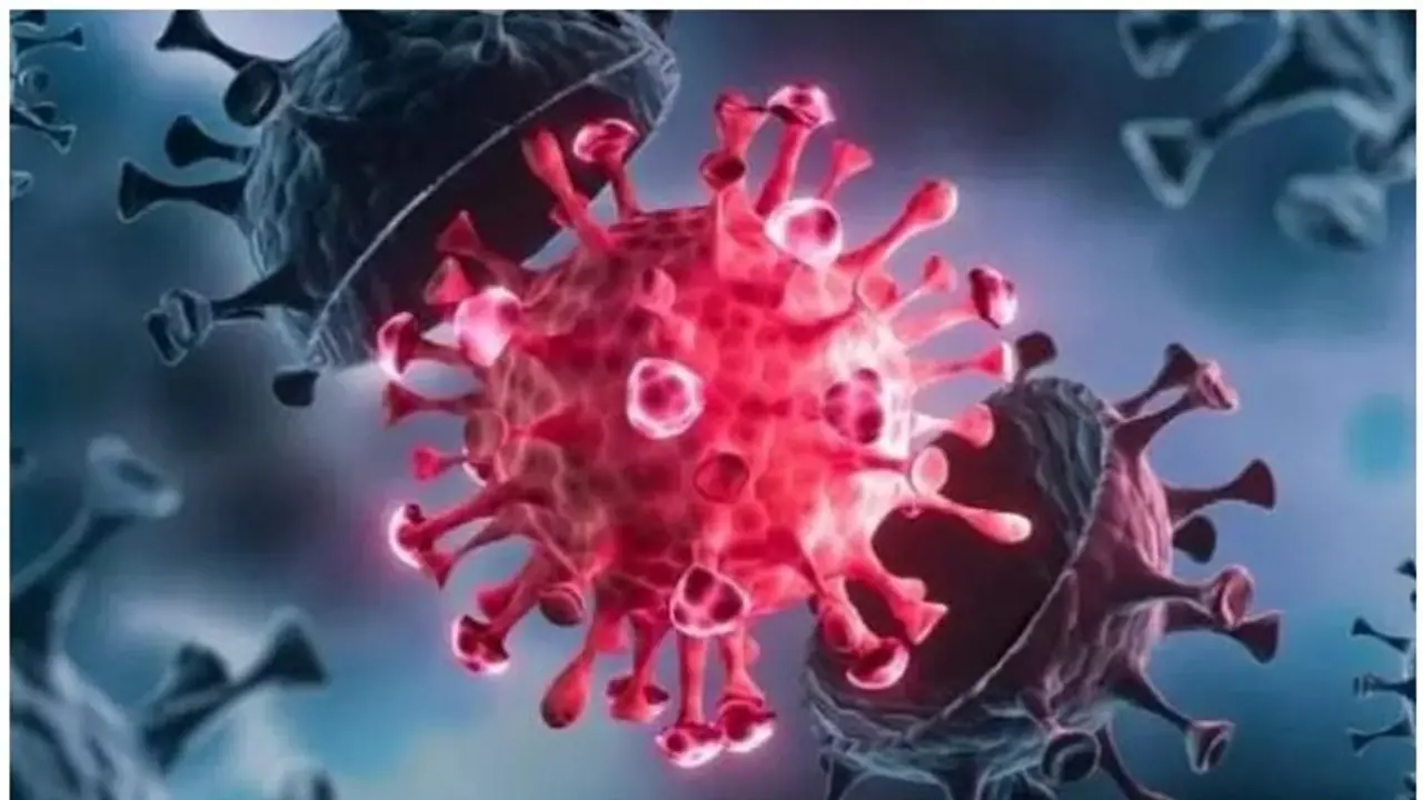 കൊവിഡ് 19; പുതിയ ഡെൽറ്റ വകഭേദം ഇന്ത്യയിലും സ്ഥിരീകരിച്ചു