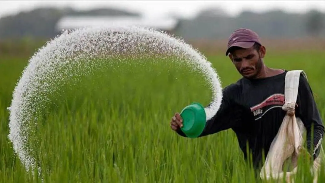 यूरिया उत्पादन में आत्मनिर्भर बनने की ओर बढ़ रहा भारत, PM 12 नवंबर को करेंगे नए फर्टिलाइजर प्लांट का उद्घाटन यूरिया उत्पादन में आत्मनिर्भर बनने की ओर बढ़ रहा भारत, PM 12 नवंबर को करेंगे नए फर्टिलाइजर प्लांट का उद्घाटन