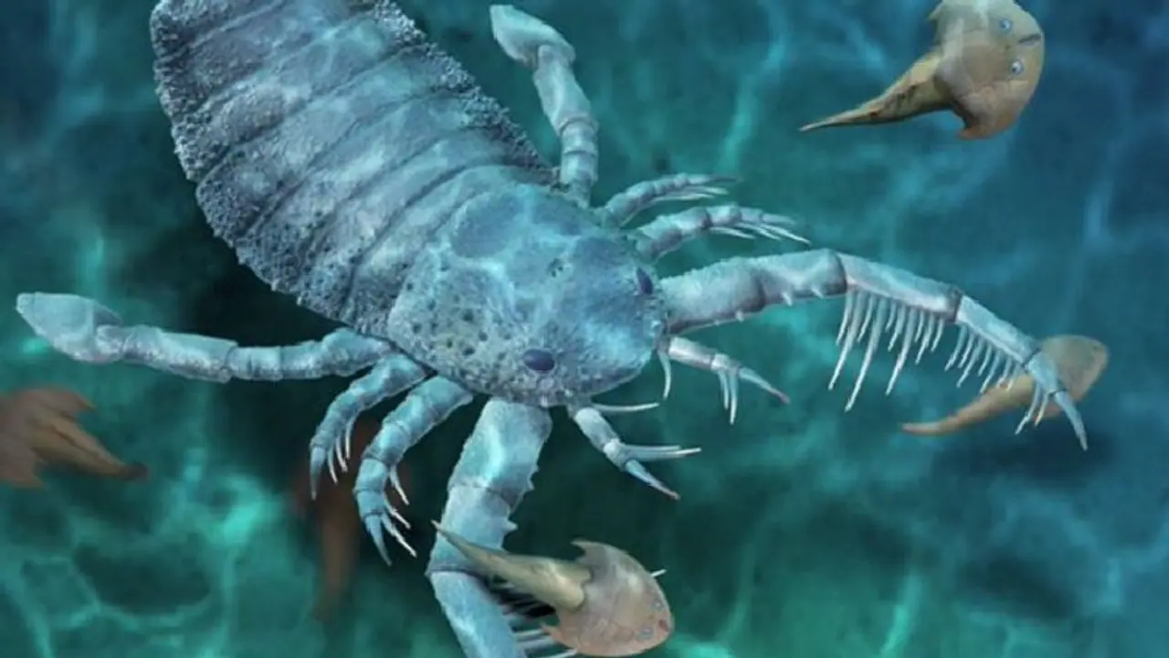 Sea Scorpions: সমুদ্রের তলায় ঘুরে বেড়াত কুকুরের সমান আকারের বিছে, ছবি দেখলে চমকে উঠবেন Sea Scorpions: সমুদ্রের তলায় ঘুরে বেড়াত কুকুরের সমান আকারের বিছে, ছবি দেখলে চমকে উঠবেন