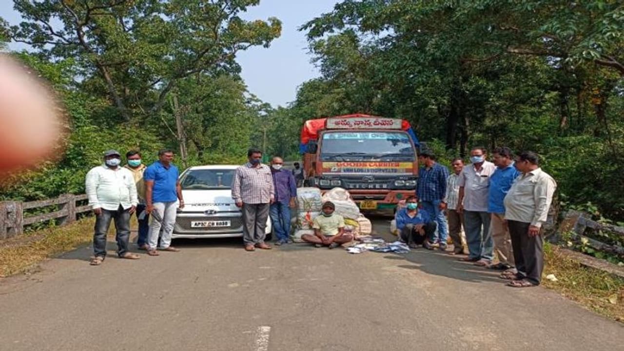 తూ.గో జిల్లాలో భారీగా పట్టుబడ్డ గంజాయి... కొబ్బరికాయల లోడ్ మాటున హైదరాబాద్ కు స్మగ్లింగ్