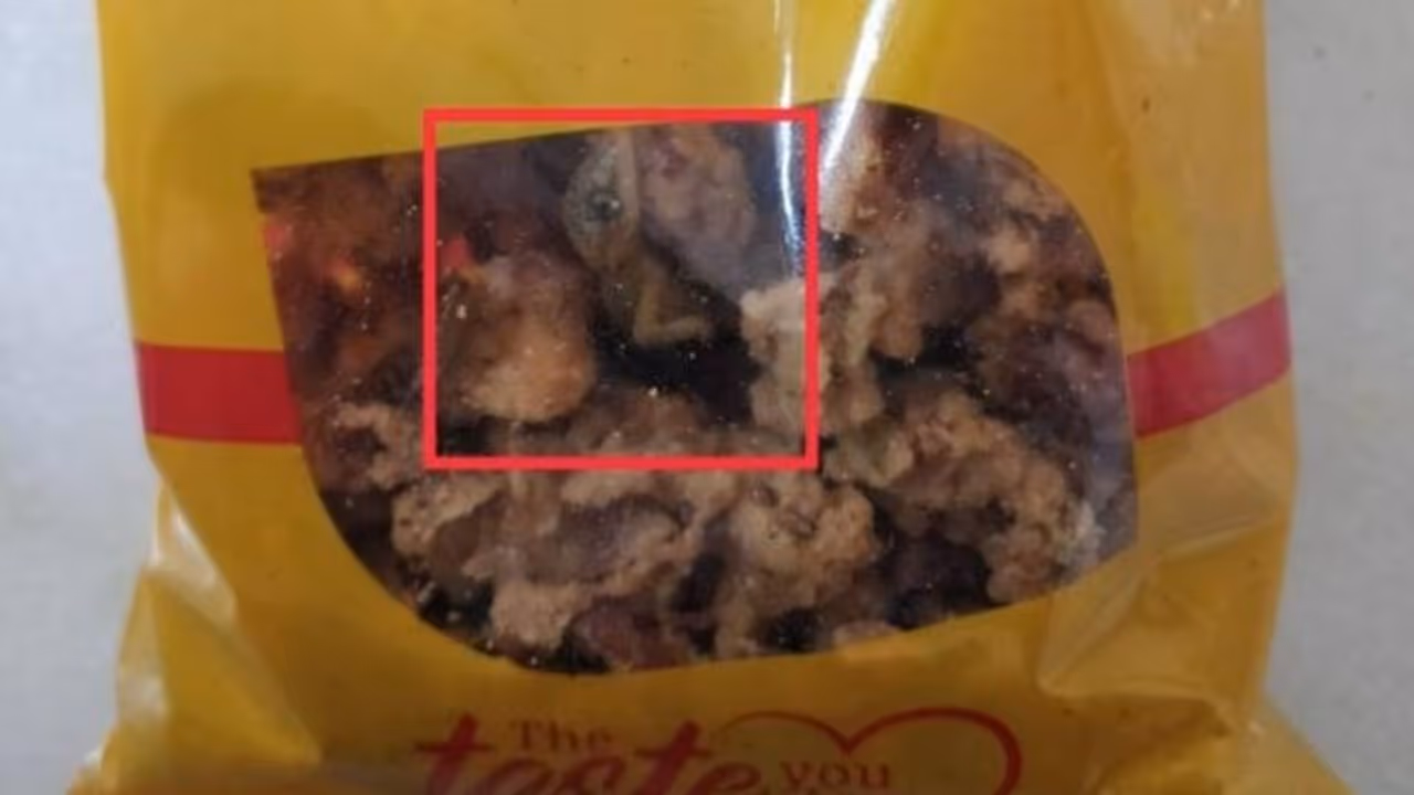 പക്കാവടയുടെ പാക്കറ്റില്‍ വറുത്ത പല്ലി; ഭക്ഷ്യസുരക്ഷാ വിഭാഗത്തിന് പരാതി നല്‍കി യുവാവ്