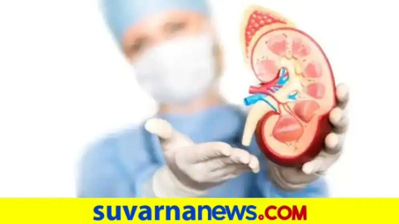 ಮೂತ್ರಪಿಂಡ ವೈಫಲ್ಯ: ಜೀವನಶೈಲಿಯಲ್ಲಿ ಚಿಕ್ಕಪುಟ್ಟ ಬದಲಾವಣೆ ಮಾಡ್ಕೊಳ್ಳಿ