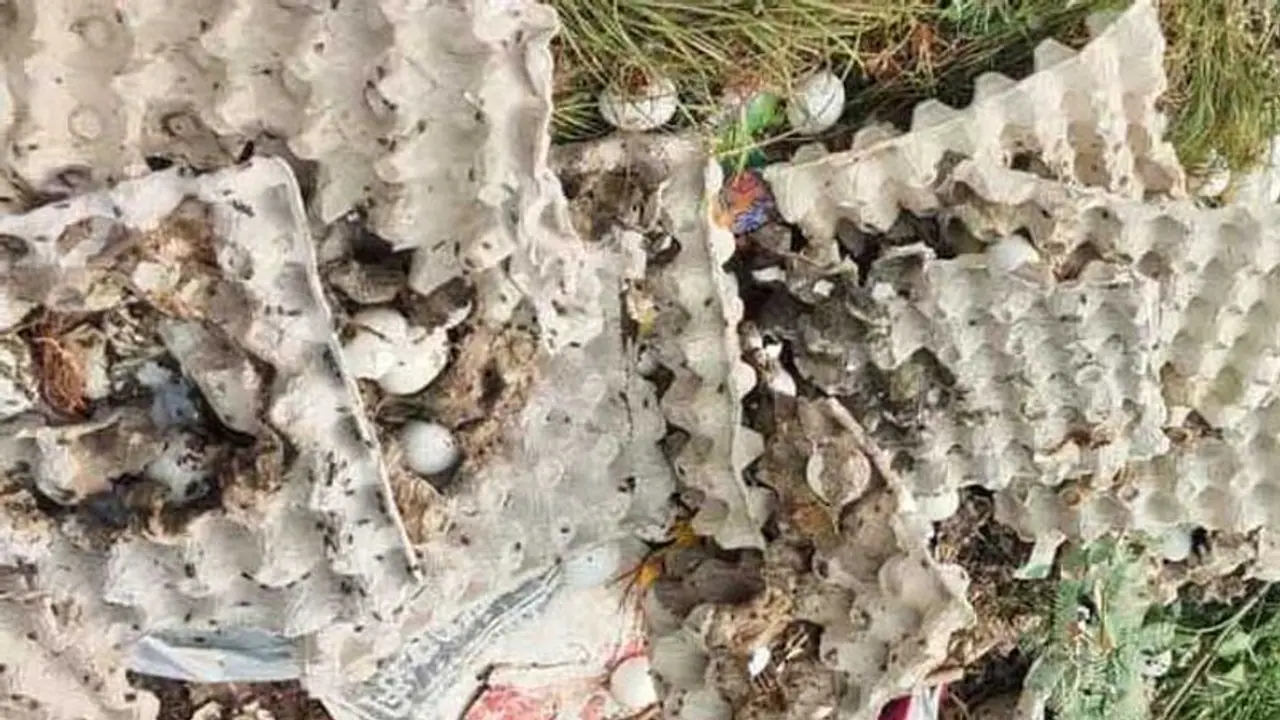 மாணவர்களுக்கு புழுக்கள் பிடித்த அழுகிய முட்டைகள் வழங்கிய விவகாரம்... சத்துணவு அமைப்பாளர் பணியிடை நீக்கம்..! மாணவர்களுக்கு புழுக்கள் பிடித்த அழுகிய முட்டைகள் வழங்கிய விவகாரம்... சத்துணவு அமைப்பாளர் பணியிடை நீக்கம்..!