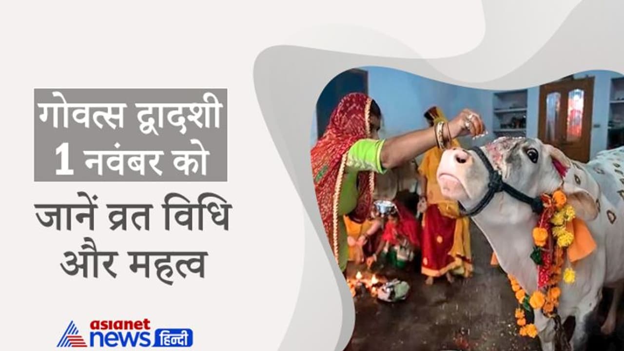 Govats Dwadashi 2021: 1 नवंबर को है गोवत्स द्वादशी, योग्य संतान के लिए इस दिन करें गायों की पूजा और व्रत Govats Dwadashi 2021: 1 नवंबर को है गोवत्स द्वादशी, योग्य संतान के लिए इस दिन करें गायों की पूजा और व्रत