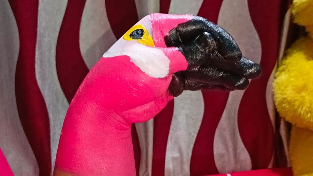 Painting রং তুলিতে হাতেই জীবন্ত পশু পাখি, ইন্ডিয়া বুক অফ রেকর্ডসে বালুরঘাটের স্নিগ্ধা Painting রং তুলিতে হাতেই জীবন্ত পশু পাখি, ইন্ডিয়া বুক অফ রেকর্ডসে বালুরঘাটের স্নিগ্ধা