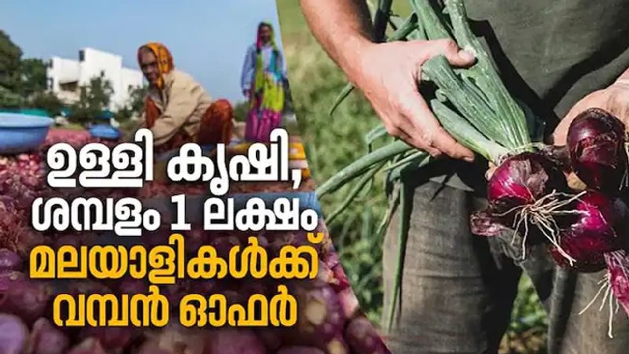 ദക്ഷിണ കൊറിയയില് വമ്പന് ശമ്പളത്തിലെ ഉള്ളി കൃഷി; ഉദ്യോഗാര്ത്ഥികളെ വലച്ച് തൊഴില് സമയവും അവധിയും ദക്ഷിണ കൊറിയയില് വമ്പന് ശമ്പളത്തിലെ ഉള്ളി കൃഷി; ഉദ്യോഗാര്ത്ഥികളെ വലച്ച് തൊഴില് സമയവും അവധിയും