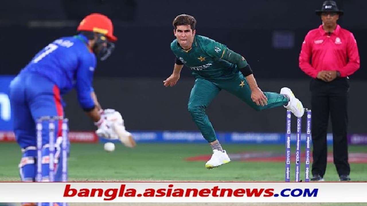 T20 WC 2021 সপ্তম উইকেটে উঠল ৭১ রান, ধাক্কা সামলে পাকিস্তানের বিরুদ্ধে লড়াকু স্কোরে আফগানরা T20 WC 2021 সপ্তম উইকেটে উঠল ৭১ রান, ধাক্কা সামলে পাকিস্তানের বিরুদ্ধে লড়াকু স্কোরে আফগানরা