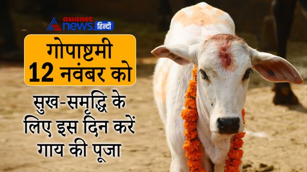 Gopashtami 2021: गोपाष्टमी 12 नवंबर को, इस दिन गाय की पूजा करने से घर में बनी रहती है सुख समृद्धि Gopashtami 2021: गोपाष्टमी 12 नवंबर को, इस दिन गाय की पूजा करने से घर में बनी रहती है सुख समृद्धि