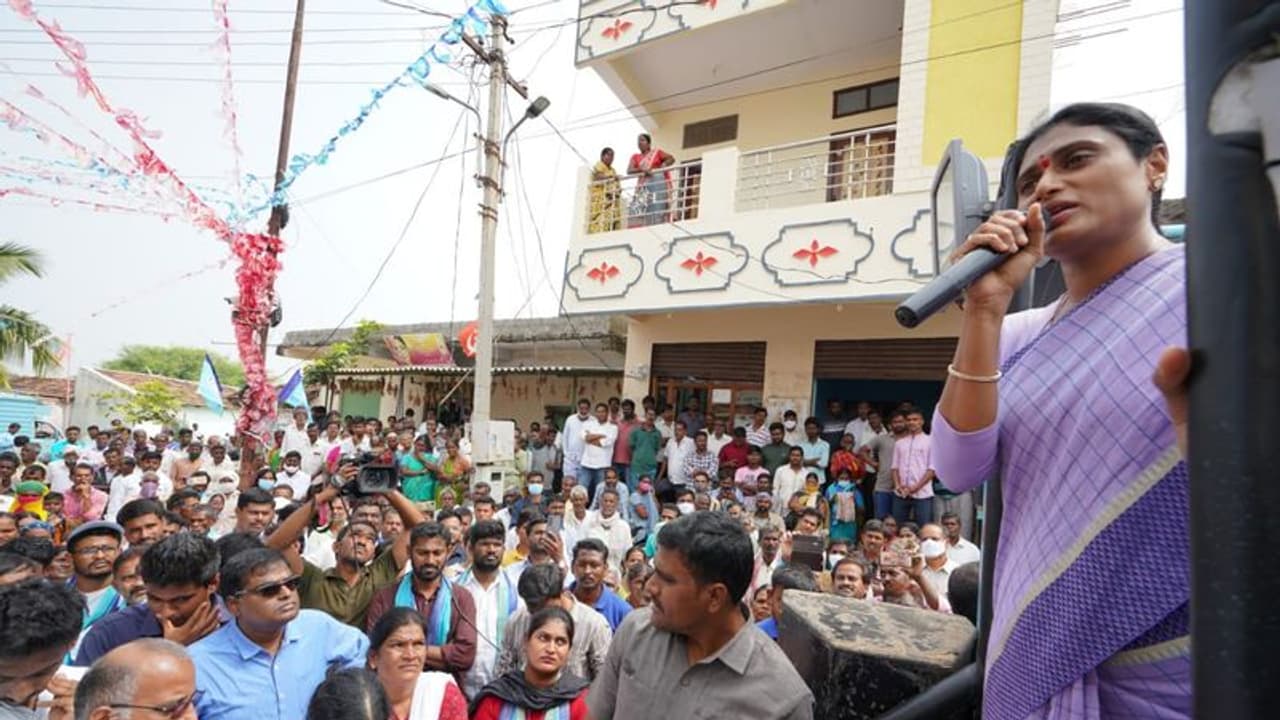 ఓట్లు వేయించుకొనుడు.. ఫామ్‌హౌస్‌కు పోవుడు, రాష్ట్రంలో రౌడీలదే రాజ్యం : కేసీఆర్‌పై షర్మిల ఫైర్